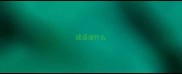 成语淑什么