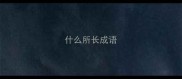 什么所长成语