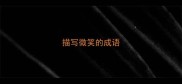 描写微笑的成语