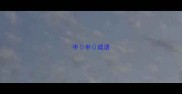 半半成语