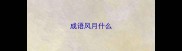 成语风月什么