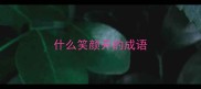 什么笑颜开的成语