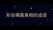 形容揭露真相的成语