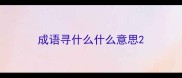 成语寻什么什么意思