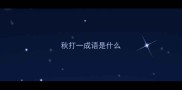 秋打一成语是什么