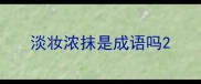 淡妆浓抹是成语吗