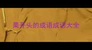 栗开头的成语成语大全