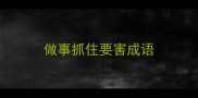 做事抓住要害成语