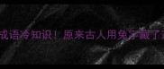 三有有兔的成语冷知识原来古人用兔字藏了这么多智慧