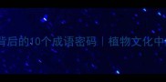 昙花一现背后的10个成语密码植物文化中的成语美学