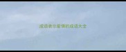 成语表示爱情的成语大全