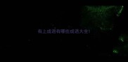 有上成语有哪些成语大全