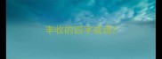 丰收的四字成语