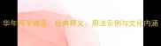华年两字成语经典释义用法示例与文化内涵