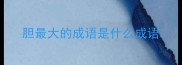 胆最大的成语是什么成语