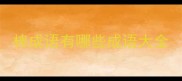 棉成语有哪些成语大全