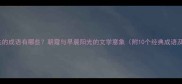朝晖相关的成语有哪些朝霞与早晨阳光的文学意象附10个经典成语及用法