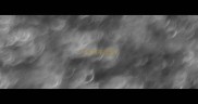 耳字四字成语