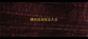 糟的成语接龙大全
