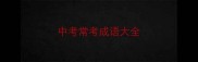 中考常考成语大全