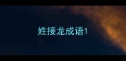 姓接龙成语