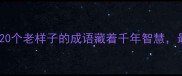 老套成语新解这20个老样子的成语藏着千年智慧最后一个太意外
