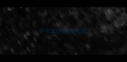 关于羊的成语成语