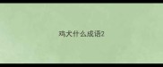 鸡犬什么成语