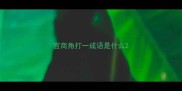宫商角打一成语是什么