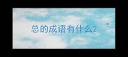 总的成语有什么