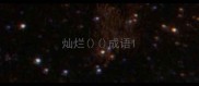 灿烂成语