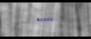 蠢成语接龙