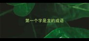 第一个字是龙的成语
