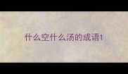 什么空什么汤的成语