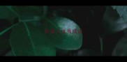 形容人优秀成语
