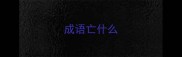 成语亡什么