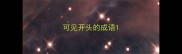 可见开头的成语