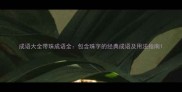 成语大全带珠成语全包含珠字的经典成语及用法指南