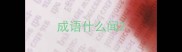 成语什么闻