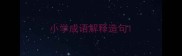 小学成语解释造句