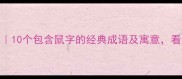 有鼠的成语趣味10个包含鼠字的经典成语及寓意看完秒变知识达人