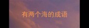 有两个海的成语