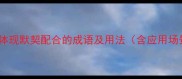 职场必备10个体现默契配合的成语及用法含应用场景与避坑指南