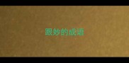 跟妙的成语