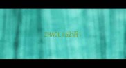 ZHAOLI成语