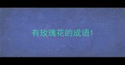 有玫瑰花的成语
