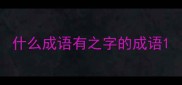 什么成语有之字的成语