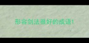 形容剑法很好的成语