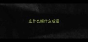 庄什么蝶什么成语