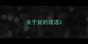 关于捉的成语